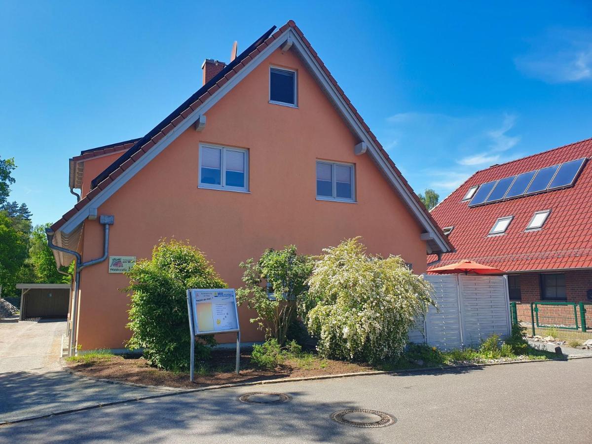 Moderne Fewo Nr 4 Mit Balkon, Sauna Im Haus, Garten - Ferienwohnungen Am Wald Klein Gelm Zewnętrze zdjęcie